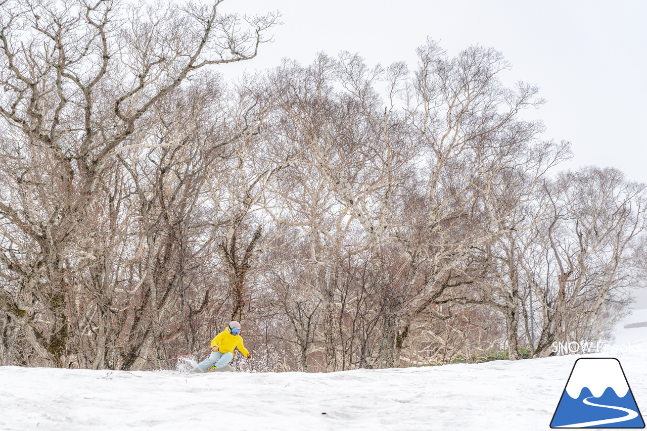 5月になっても雪たっぷり。山頂から山麓まで滑走可能なニセコアンヌプリ国際スキー場のゲレンデを、秋山穂香さんとひと滑り(^^)/